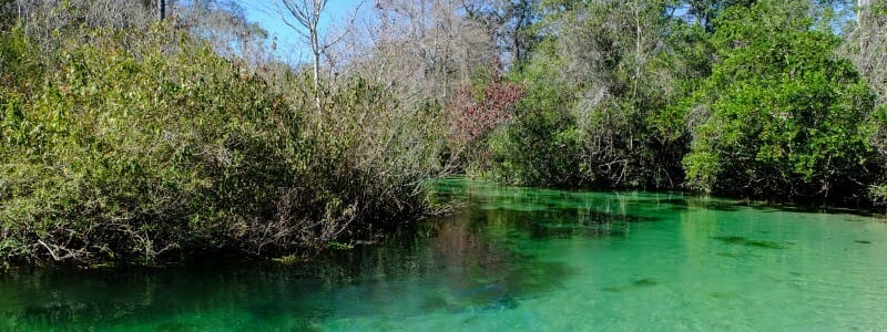 Weeki Wachee Springs State Park – Mermaid Show