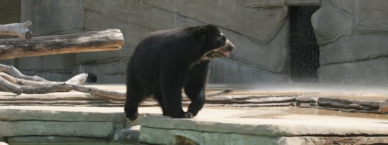 Zoo de Tulsa