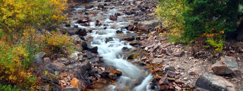 Lewis & Clark National Forest