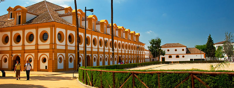 The School of Equestrian Art