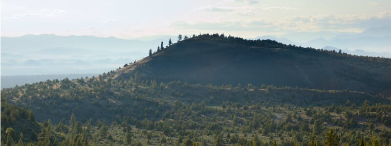 Forêt Nationale de Shasta-Trinity