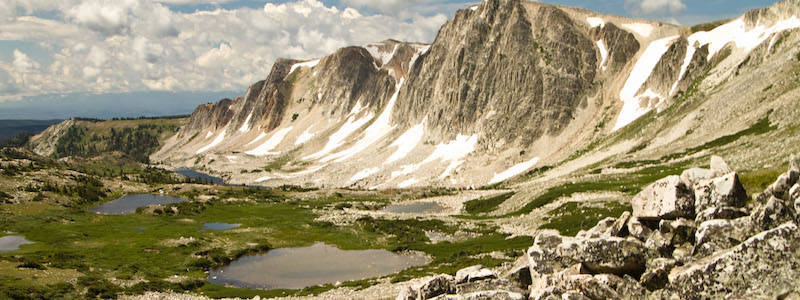 Forêt de Medicine Bow 
