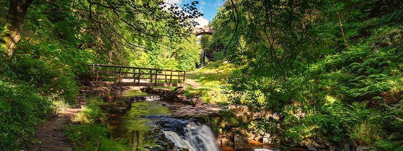 North Pennines Area of Natural Beauty