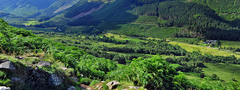 Découvrez les Highlands en Ecosse : beauté des paysages