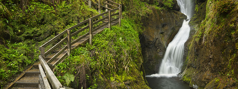 Glenariff Forest Park