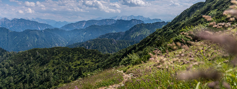 Bergwalderlebnisweg Staffen