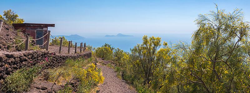 Vesuvius National Park