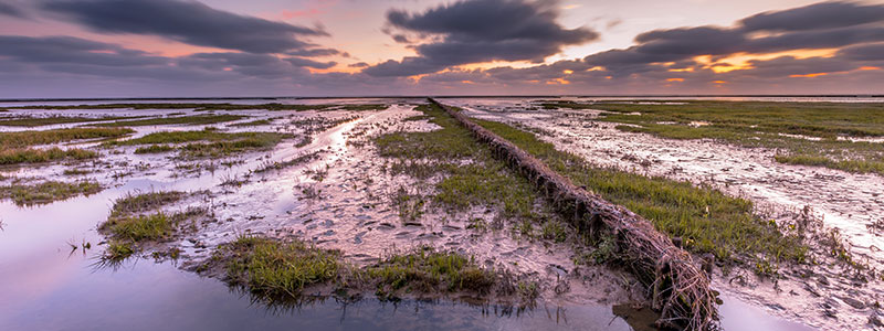 Wadden Sea National Park