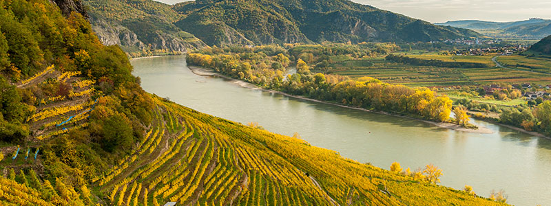 Wachau